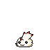Curimon Curimon